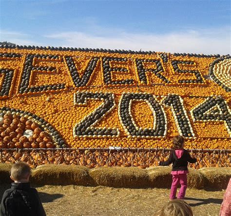 sever's corn maze shakopee